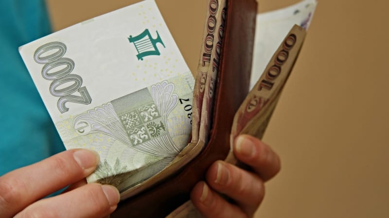 Experti navrhují daňovou dietu pro Česko: Dopadne na všechny, ale oživí skomírající rozpočet