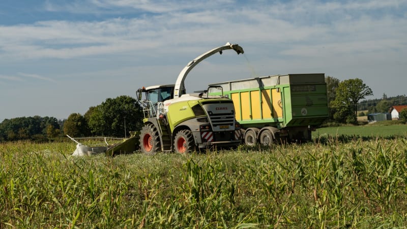 Majitele kukuřičného pole v Německu rozsekal kombajn. Pár klasů si chtěl natrhat ručně