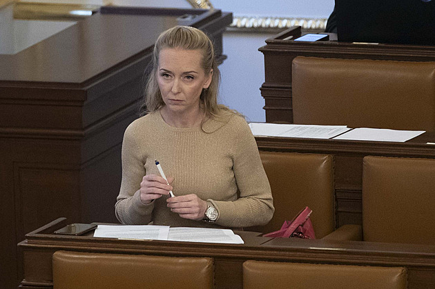 Chceme obecné referendum a důchod v 65 letech, říká krajská jednička SPD Maříková