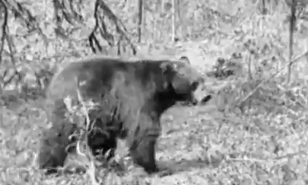 Před 100 lety: Poslední letní neděle, fotbalové rvačky a medvědi v Tatrách