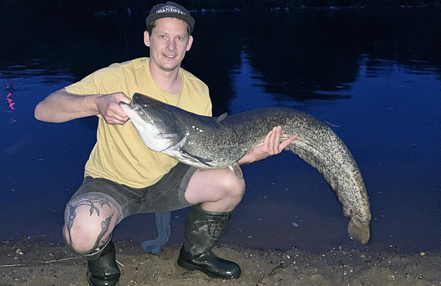 Noční rybářský triumf na Moravě. Skeptik uviděl sumce a došly mu posměšky