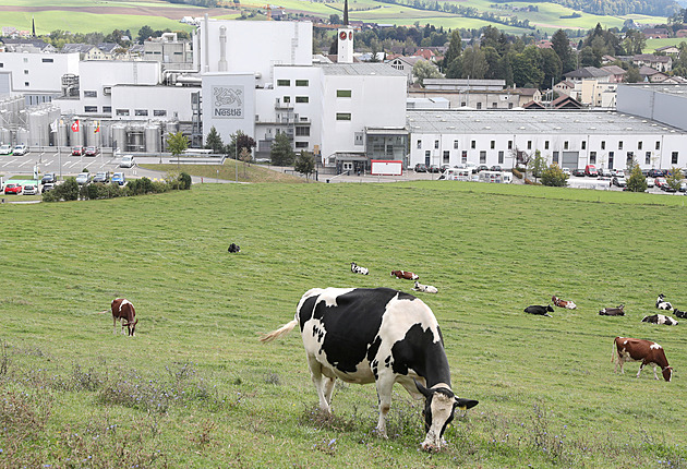 Nestlé plánuje masivní propouštění, do roku 2027 má přijít o práci 16 000 lidí