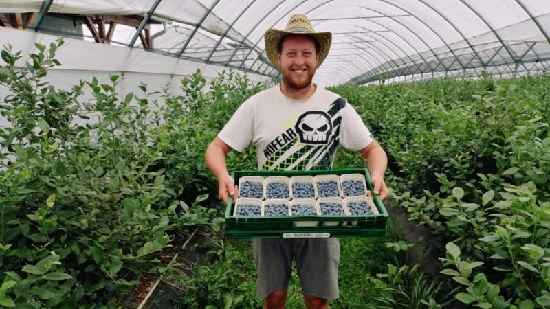 Karel Roden, úspěšný herec, který pěstuje borůvky a k lidem putují rovnou z keře