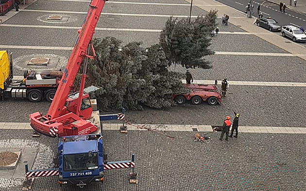 To se nepovedlo. Při zdvihání se zlomil vánoční strom. Vada dřeva, míní Ústí