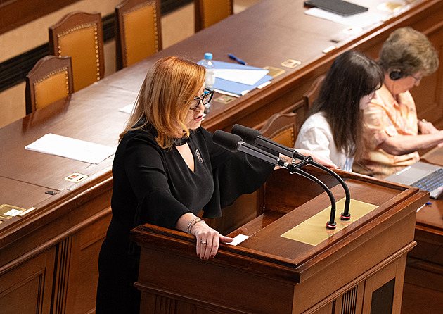 Je úplný, pravdivý a realistický, hájila Schillerová navržený státní rozpočet
