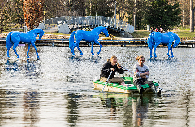 Jezírko ozdobily sochy modrých koní, senátor nepožádal město o povolení