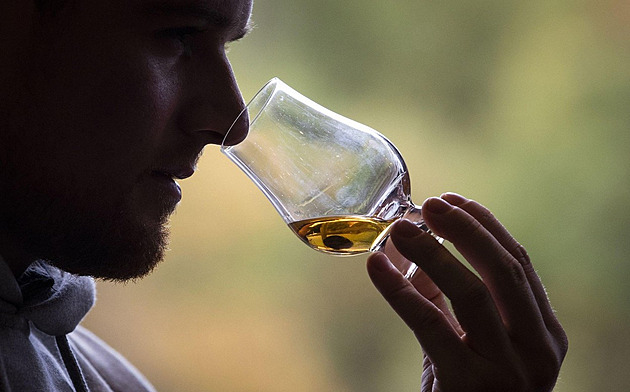 Sklenička na zdraví? Polovina Čechů věří, že malé množství alkoholu prospívá