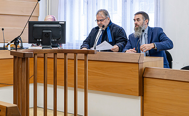 Trest pro Pavlova řidiče, který měl nehodu. V pohotovosti nesmí pít alkohol, řekl soud