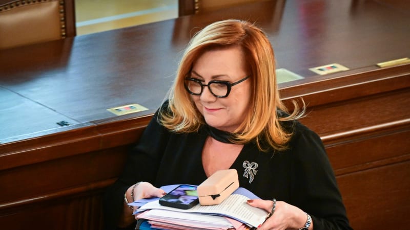 Schillerová míří „na kobereček“ do Senátu. Vysvětlí, proč vláda zvolila legislativní nouzi