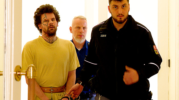 Muže zmasakroval boxerem a skoro mu uřízl hlavu. Obtěžoval mě, ujely mi nervy, tvrdí