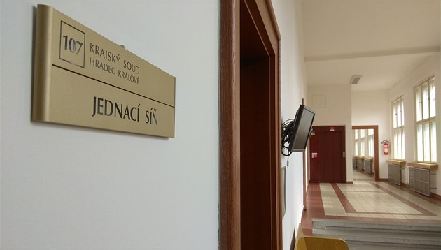 Kriminálník dostal dalších 10 let. Podle soudu družku ubil pěstmi a zneužil dítě