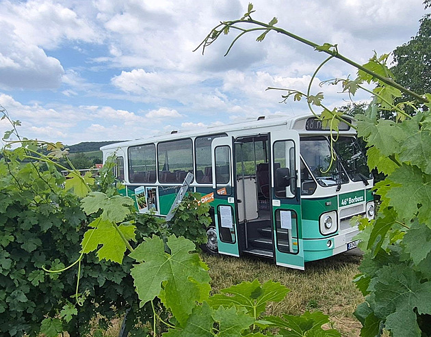 Maďarsko láká turisty na víno. U Balatonu představilo okružní jízdu retro autobusem